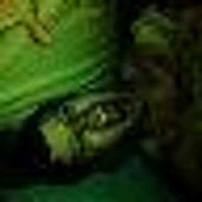 Profile Picture of Devin Kent Sorrell (@DuurtyD) on Twitter