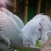 Profile Picture of Rosa Resta (@rosa.resta.129) on Facebook