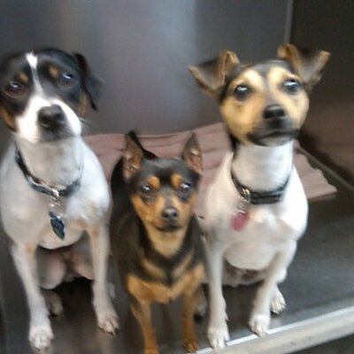 Profile Picture of Eric Mcdermott (@edogg22) on Twitter