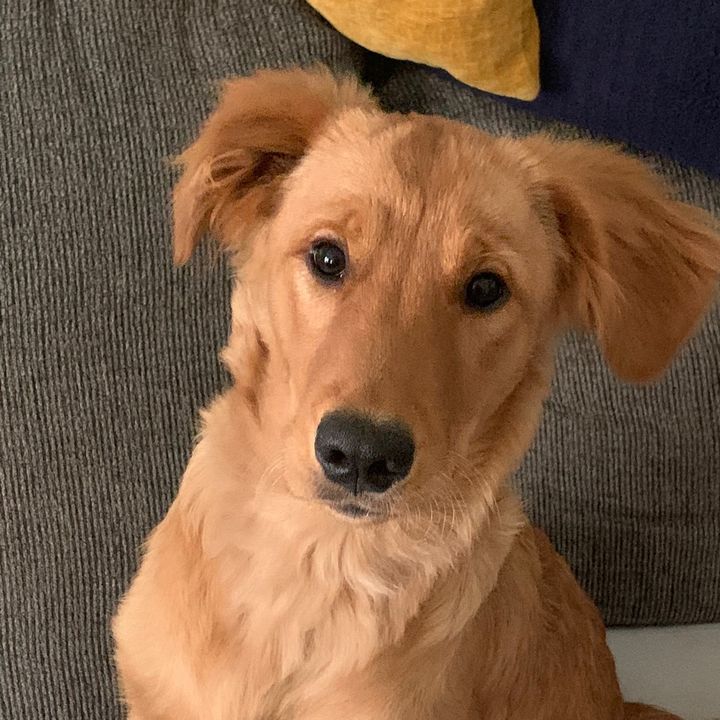 Profile Picture of Crystal (@crystalengle1978) on Tiktok