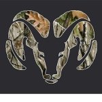 Phillip Payton - Instagram Profile Picture of Phillip Payton (@123phillip12) on Instagram