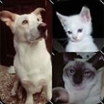 Brooks Clement - Instagram Profile Picture of Brooks Clement (@brooks.clement147) on Instagram