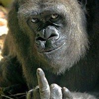 Profile Picture of Mike Finnell (@mike-finnell-1) on Quora