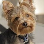 Profile Picture of Sherry Van Enkenvoort (@sherryvanenkenvoort) on Instagram