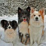 Profile Picture of Ellen H. Tangen (@tangenellen) on Instagram