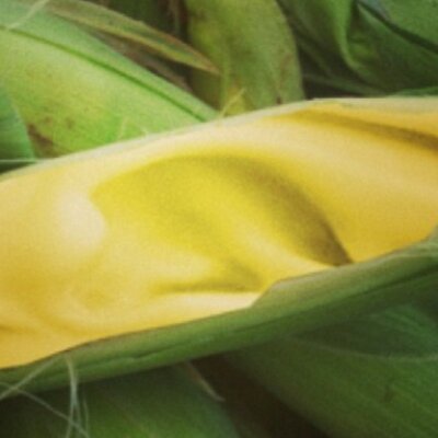 Profile Picture of Spunoza, Chaotic Neutral Breaks Dj (@lolnewmedia) on Twitter