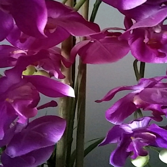 Profile Picture of Christina Binns (@carrybinn) on Poshmark