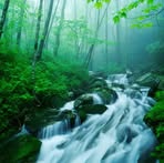 Profile Picture of Balbina Polanco (@balbina.polanco.71) on Facebook