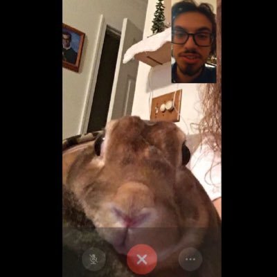 Profile Picture of Mike Macera (@macera_mike) on Twitter