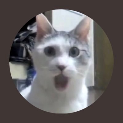 Profile Picture of Scott šabo (@sabo_scott) on Twitter