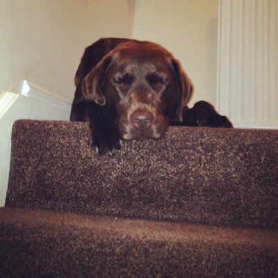 Profile Picture of Dennis Ripley (@BenRipley98) on Twitter