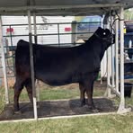 Profile Picture of James Poppen (@James-Poppen) on Facebook