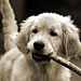 Profile Picture of Robert Engler (@rengler3328) on Pinterest