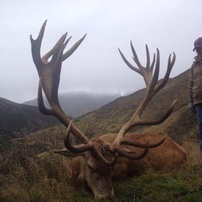Profile Picture of Kevin Pollock (@KevinPollock17) on Twitter