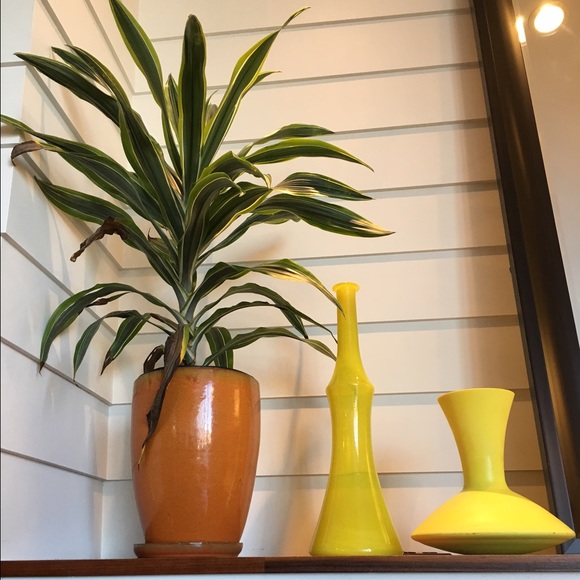 Profile Picture of Kaitlyn Farnan (@laughgeo) on Poshmark