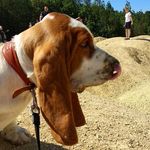 Profile Picture of Капралов Михаил (@kapralov_michael) on Instagram