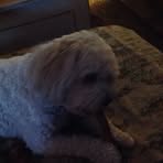 Profile Picture of Sheri Champlin (@Sheri-Champlin) on Facebook