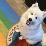 Profile Picture of tony cody (@tony.cody.663454) on Facebook