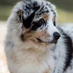 Profile Picture of Cathy Nugent (@crystaleye_aussie) on Instagram