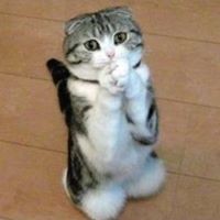 Profile Picture of Debbie Grimm (@debbie-grimm-4) on Quora