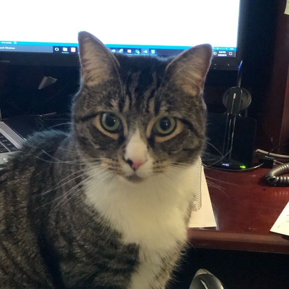 Profile Picture of Nancy Ressler (@starnlr) on Poshmark