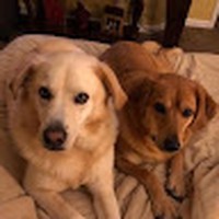 Profile Picture of Steve Becker (@steve-becker-106) on Quora