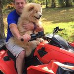 Profile Picture of Steve Bahr (@bahr_steve) on Instagram