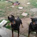 Profile Picture of Joe Blumenschein (@joe.blumenschein.90) on Facebook