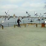 Profile Picture of 🤜Albert Lybeshari (@albertlybeshari) on Instagram