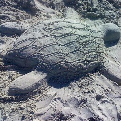 Profile Picture of Kaley Richards (@kkbeth91) on Twitter