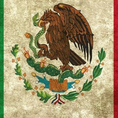 Profile Picture of Steve Silva (@stevesilva) on Tiktok