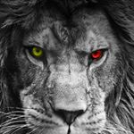 Profile Picture of Fernando Oropeza (@fernando.oropeza.146) on Instagram