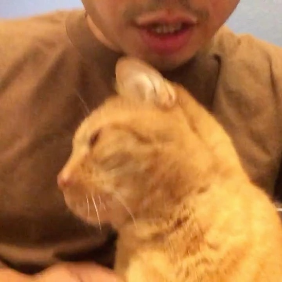 Profile Picture of John Silverio (@islandcapture) on Poshmark