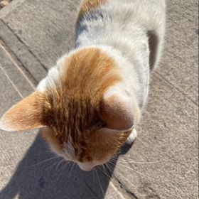 Profile Picture of Josefa sandoval (@josefaa_sandovalll) on Pinterest