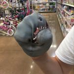 Profile Picture of joey snyder (@joeysnyder2006) on Instagram