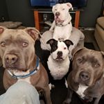 Profile Picture of Steve Ogden (@ogden9353) on Instagram