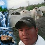 Profile Picture of Juan Segundo Calderon (@juansegundocalderon) on Instagram