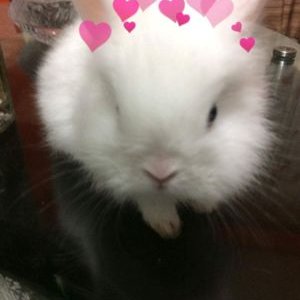 Profile Picture of Ariana Jimenez (@Arianajimenez09) on Twitter