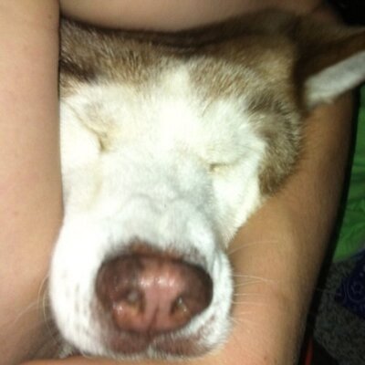 Profile Picture of Harrison Barron (@Rhbarron3) on Twitter
