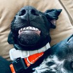 Profile Picture of Haley Denton (@haledent) on Instagram