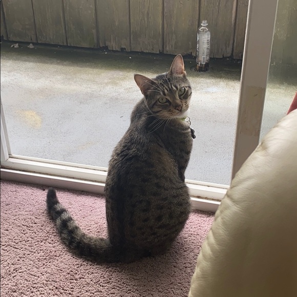 Profile Picture of Matt Young (@youngn187) on Poshmark