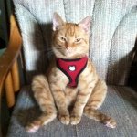 Profile Picture of Lupe Resendez (@tommy072010livecom) on Instagram