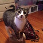 Profile Picture of Simon Oliver Moffat (@simoneboiiii) on Instagram