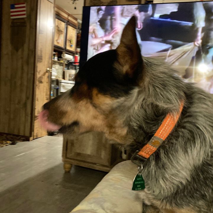 Profile Picture of Brian Standifer (@brianstandifer) on Tiktok
