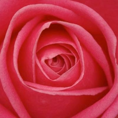 Profile Picture of Lucy Denton (@luckylucy8484) on Twitter