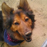 Profile Picture of Sherry Pace (@sherry-pace-9) on Quora