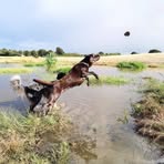 Profile Picture of Christopher Bothmann (@christopher.ernst.5686) on Facebook