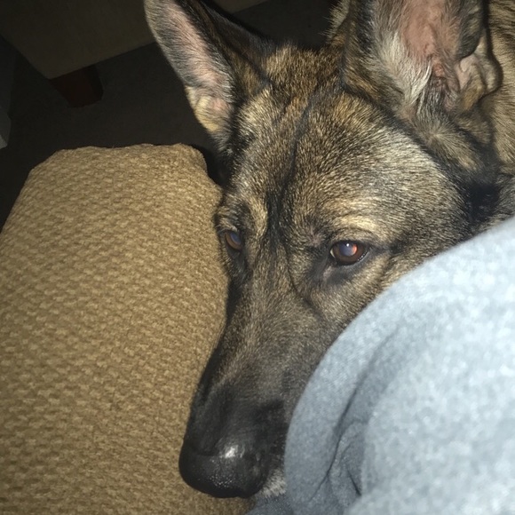 Profile Picture of Trinity Ehredt (@trinityehredt) on Poshmark