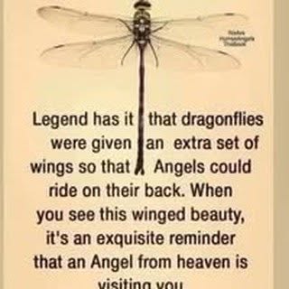 Profile Picture of Amy Cullipher (@amycullipher) on Instagram