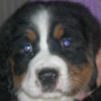 Fiona Mcguire-eggleston - Quora Profile Picture of Fiona Mcguire-eggleston (@fiona-mcguire-eggleston) on Quora